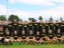GC7C8305